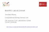BioHPC Lab at Cornell