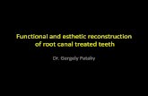 Functional and esthetic reconstruction of root canal ...
