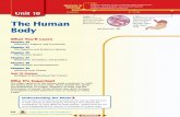 The Human Body - Mr. May's Class - Agenda