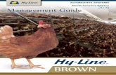 BROWN - HY-LINE NORTH AMERICA