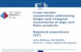 Cross-border cooperation addressing illegal and irregular ...