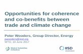 Opportunities for coherence and co-benefits between trade ...