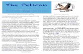 Pelican, April, 2021