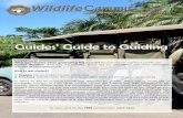 Guides’ Guide to Guiding - Game Ranging, Field Guiding ...