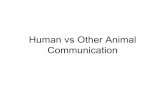 Human vs Other Animal Communication - University of Oregon