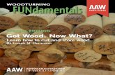 FUNdamentals - Woodturner