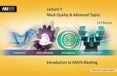 Lecture 7: Mesh Quality & Advanced Topics