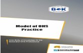 38 Practice Model of OHS practice - OHS BOK
