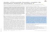 Studies of lincosamide formation complete the biosynthetic ...