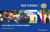 POLICING OF GANGSTERISM - PMG