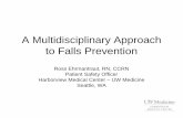 A Multidisciplinary Approach to Falls Prevention-posey -2