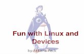 Fun with Linux and Devices