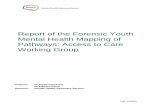 Forensic Youth Mental Health Mapping of Pathways Report ...