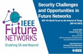 Security Challenges and Opportunities in Future Networks