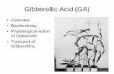 Gibberellic Acid (GA) - WOU