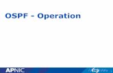 OSPF - Operation