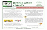 Weekly Views