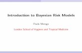 Introduction to Bayesian Risk Models
