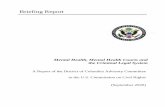 Briefing Report - United States Commission on Civil Rights