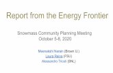 Report from the Energy Frontier - Fermilab