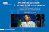 Pharmaceuticals in municipal wastewater