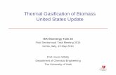 Thermal Gasification of Biomass United States Update