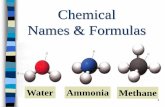 Chemical Bonding: Names and Formulas