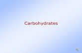 Carbohydrates Structure and Biological Function