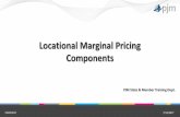 Locational Marginal Pricing Components