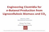 Engineering Clostridia for n-Butanol Production from ...