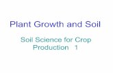 Plant Growth and Soil - Time Traveller