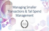 Managing Smaller Transactions and Tail Spend Management