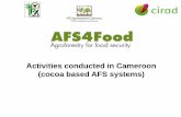 Activities conducted in Cameroon (cocoa based AFS systems)