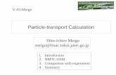 Particle-transport Calculation
