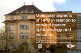 Molecular aspects of HPV in relation to cervical cancer ...