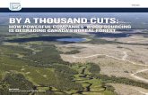 REPORT BY A THOUSAND CUTS - NRDC
