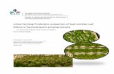 Urban Farming: Production comparison of Basil and Oak Leaf ...