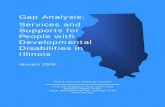 Illinois Gap Analysis - Human Services Research Institute ...