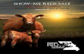 Registered Red Angus Bulls and Females Available For Sale