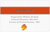 Prepared by Mohsin Al-Saleh Clinical Chemistry MSc 2013 ...