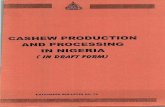 CASHEW PRODUCTION AND PROCESSING IN NIGERIA