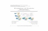 Evolution of Protein Structure