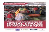TRANSFORMATIONS OF RURAL SPACES IN MOZAMBIQUE