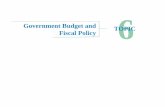 Government Budget and TOPIC Fiscal Policy