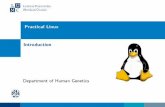 Practical Linux Introduction