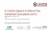4. Carbon Capture in Natural Gas Combined Cycle plants (cont.)
