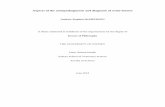 Aspects of the aetiopathogenesis and diagnosis of ovine ...