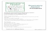 Respiratory System Printables - Royal Baloo