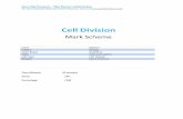 Cell Division - Merit Tutors