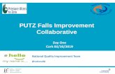 PUTZ Falls Improvement Collaborative